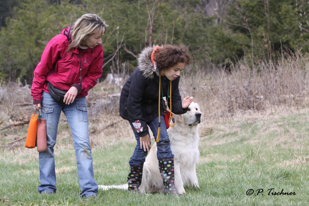 Dog Coaching Susan Weber Lugau Werdegang 5